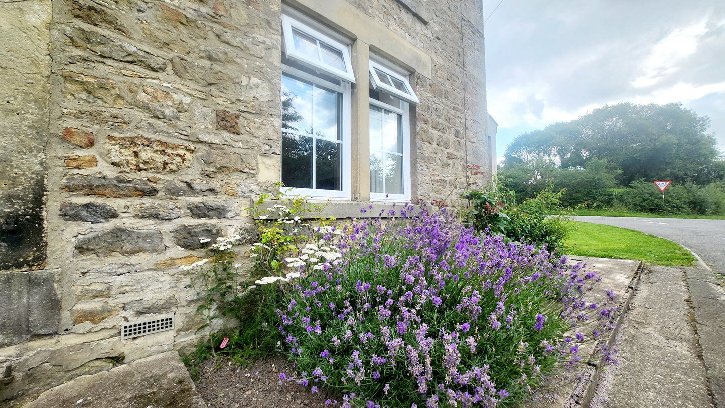 Browney Bank Cottages, Lanchester (LET)